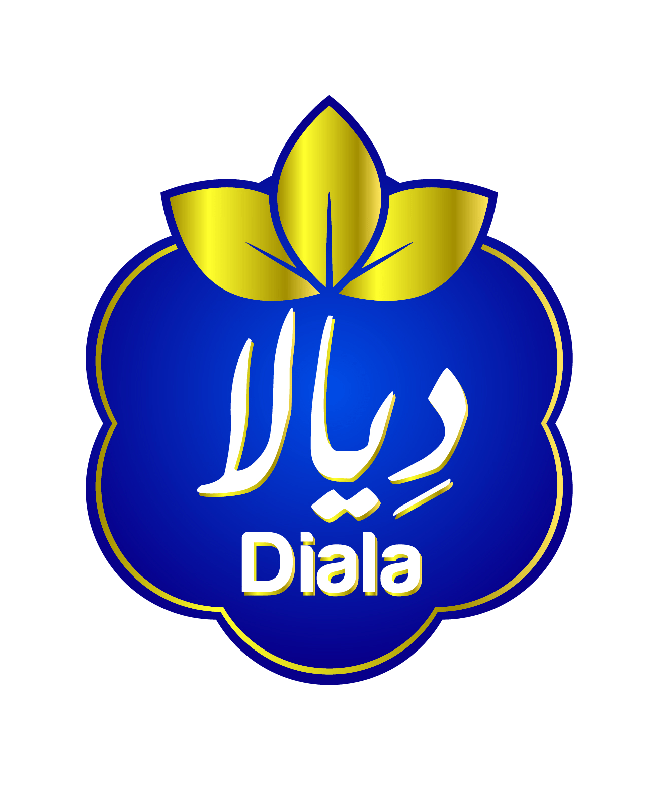 DIALA-2017-3.png